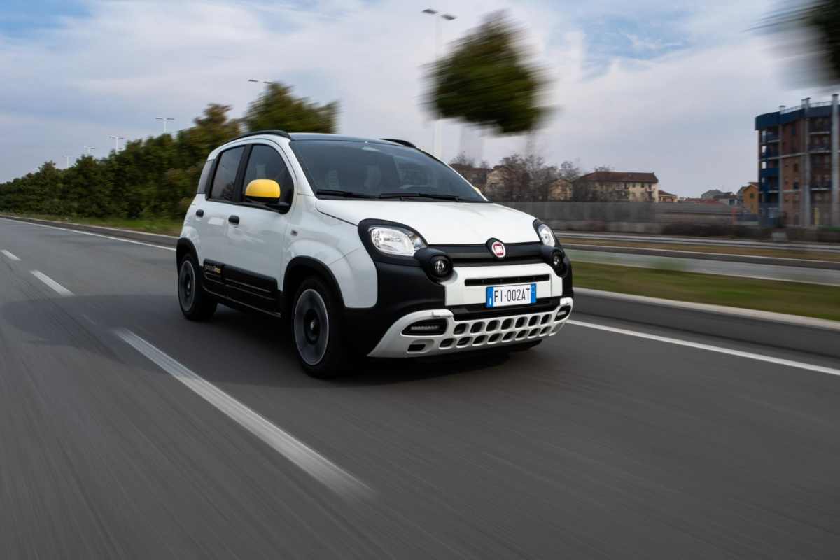 fiat panda