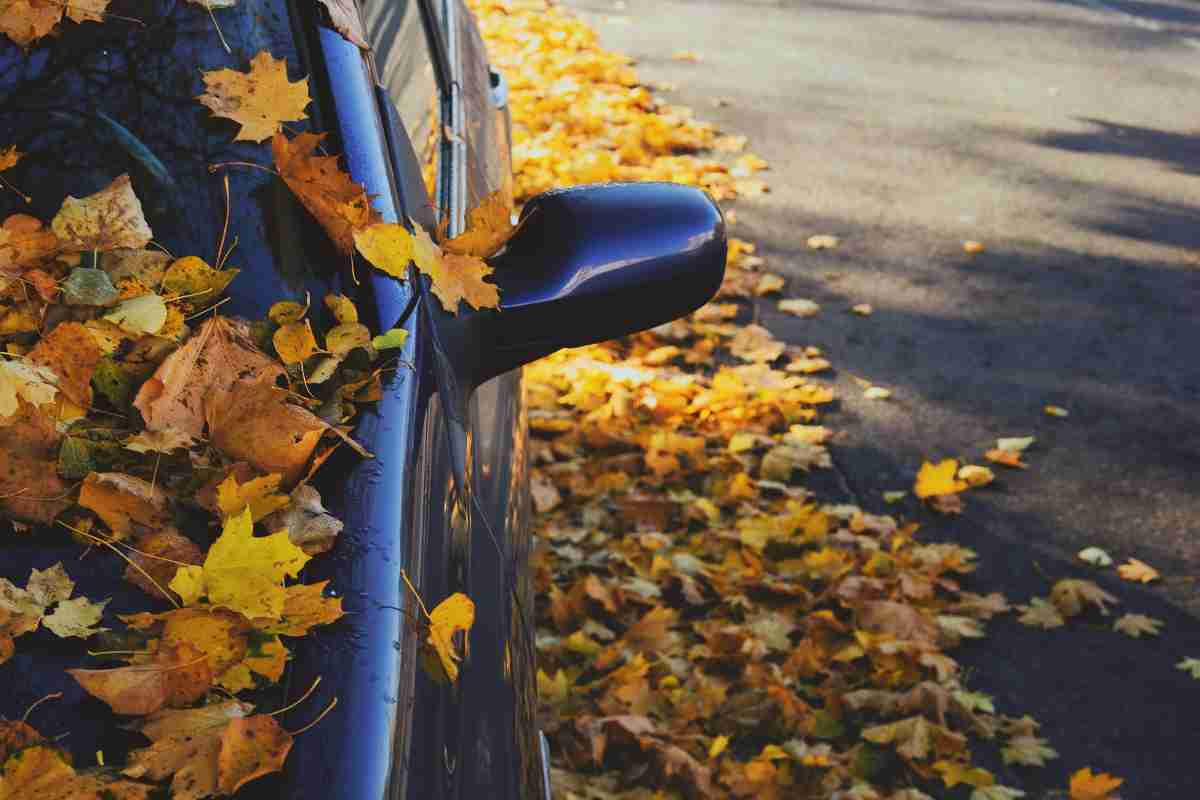 Foglie sull'auto