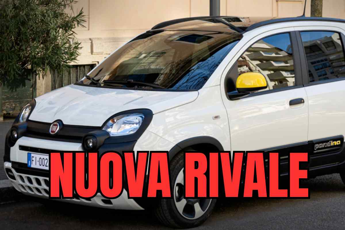 fiat panda