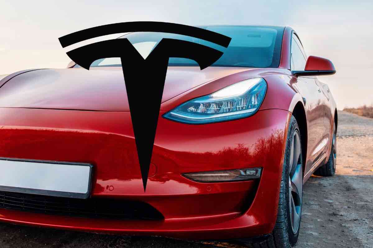 Tesla Model Y low cost novità